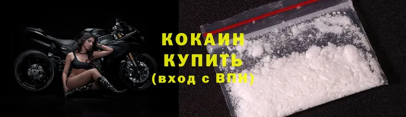 Cocaine Fish Scale  MEGA зеркало  Харовск  закладка 